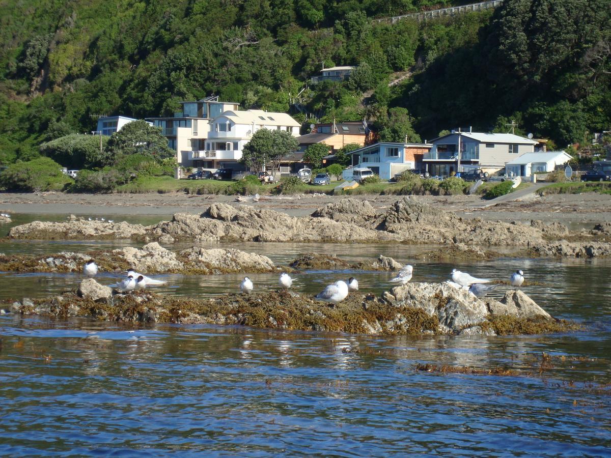 Kapiti Waves Bed & Breakfast Pukerua Bay Exteriér fotografie